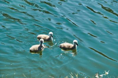 Прикрепленное изображение: Image00002.jpg